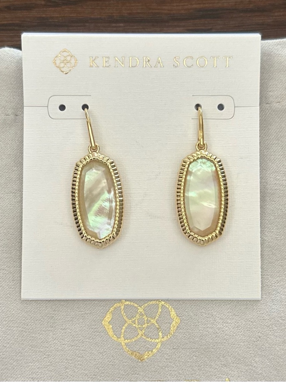 Dani Ridge Frame Gold Drop Earrings - Golden Abalone